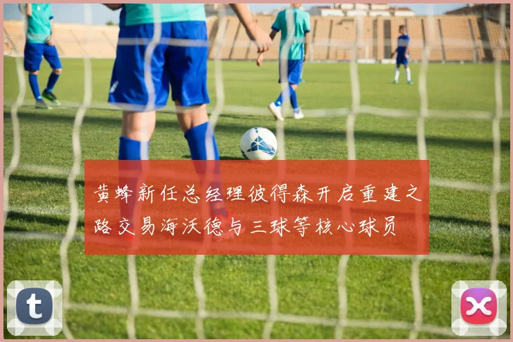 黄蜂新任总经理彼得森开启重建之路交易海沃德与三球等核心球员