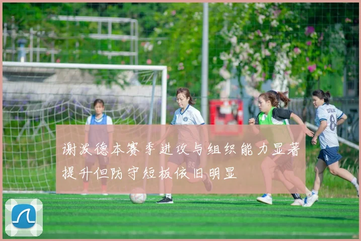 谢泼德本赛季进攻与组织能力显著提升但防守短板依旧明显